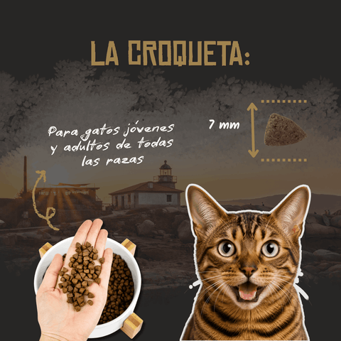 Lenda Cat Farm Poultry