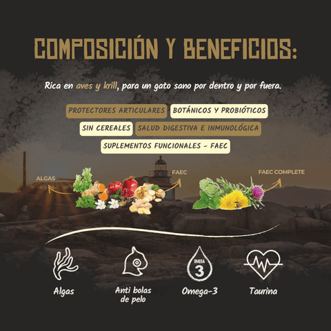 Lenda Cat Farm Poultry