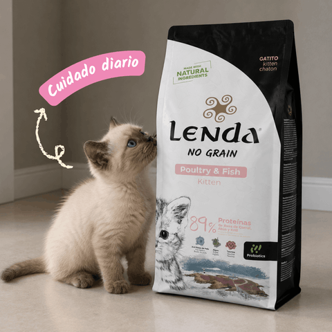 Lenda Kitten Poultry & Fish