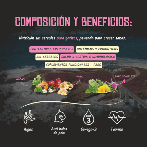 Lenda Kitten Poultry & Fish