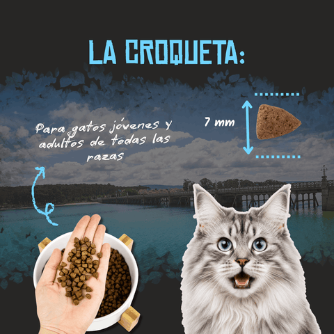 Lenda Cat Light & Sterilized