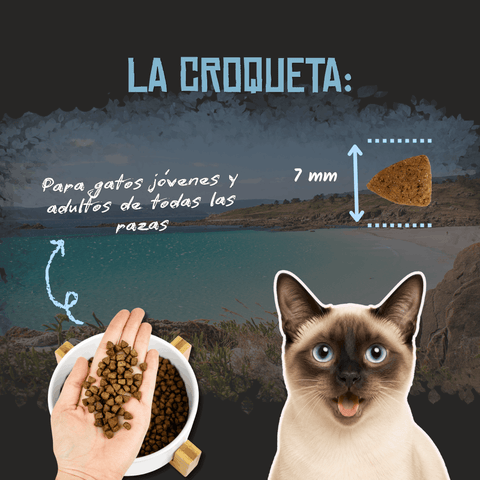 Lenda Sin Cereales Gato Sensitive & Sterilized - Pescado Blanco