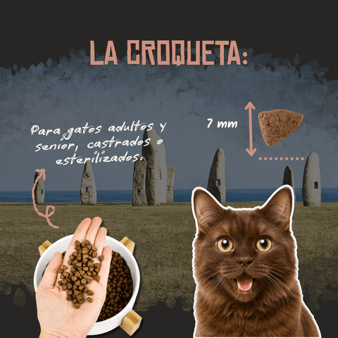 Lenda Cat Senior & Sterilized