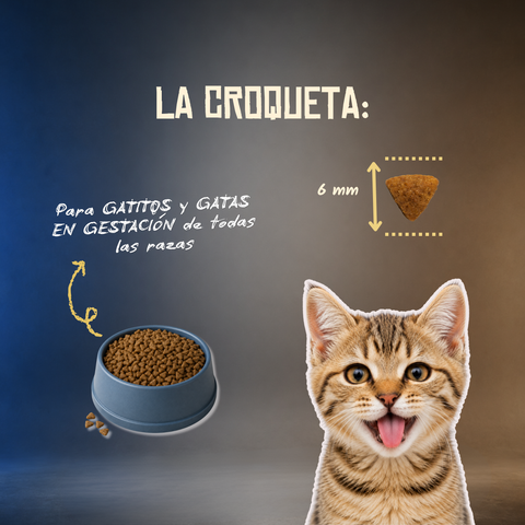 Lenda Grain Free Kitten - Cerdo, Conejo y Atún