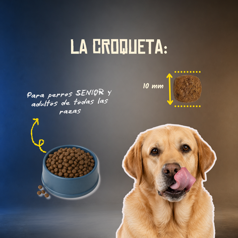 Lenda Grain Free Light y Senior - Conejo y Pavo