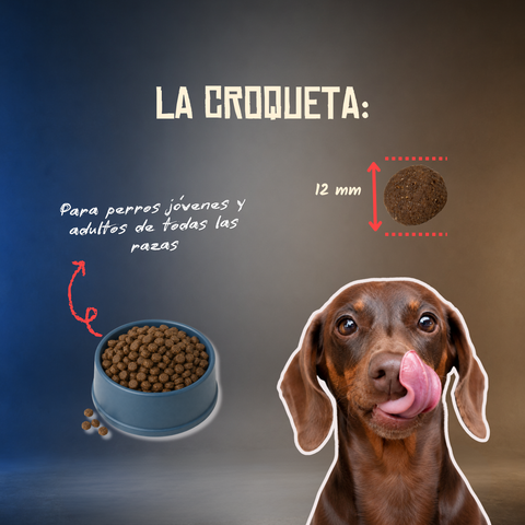 Lenda Grain Free Monoproteico - Cerdo