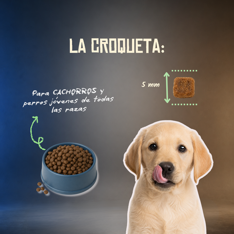 Lenda Grain Free Puppy