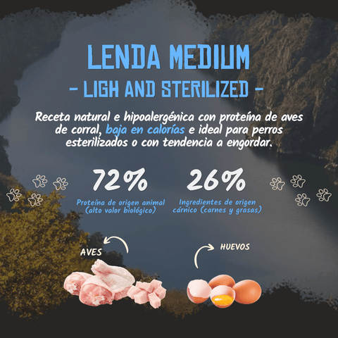 Lenda Light