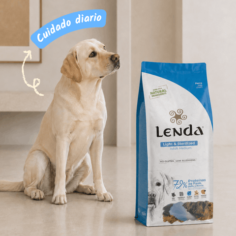 Lenda Light