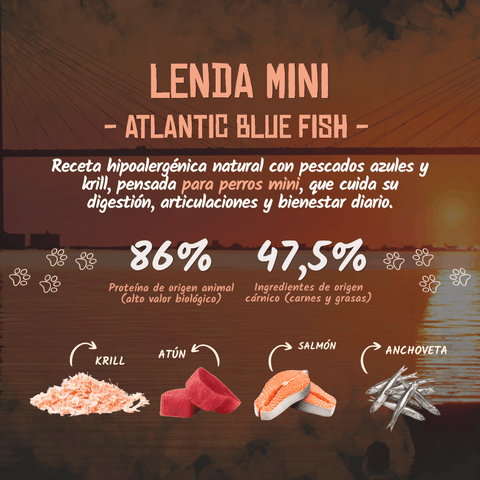 Lenda Adult Mini Atlantic Blue Fish