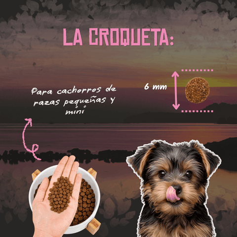 Lenda Puppy Mini First Bite