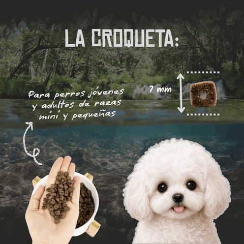 Lenda Mini Hypoallergenic Skin & Coat
