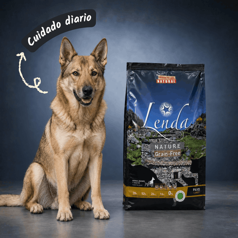 Lenda Turkey
