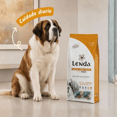 Lenda Adult Pollo Maxi