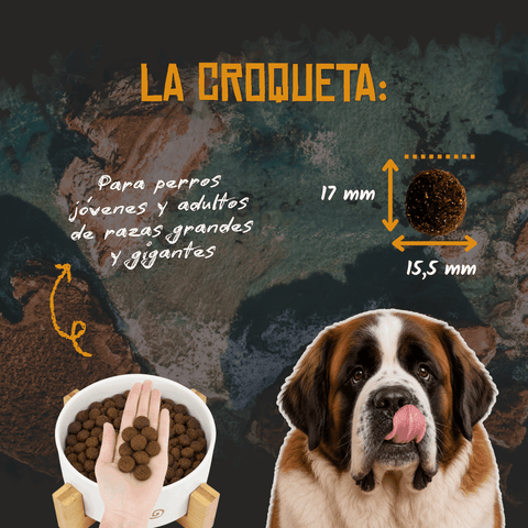 Lenda Adult Pollo Maxi