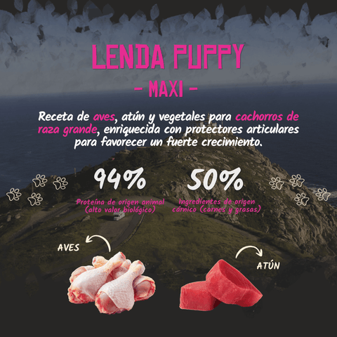Lenda Puppy Maxi