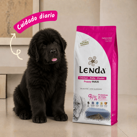 Lenda Puppy Maxi