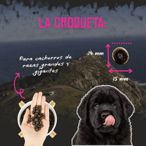 Lenda Puppy Maxi