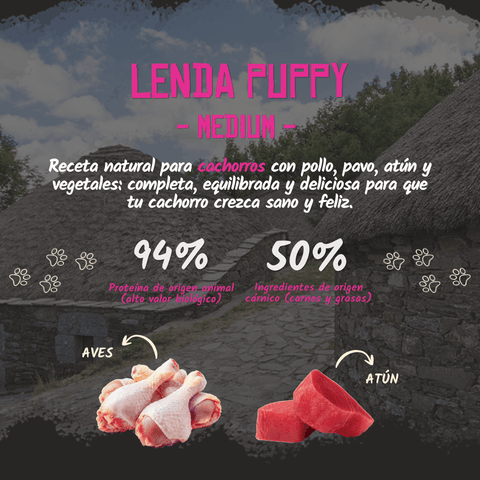 Lenda Puppy Medium