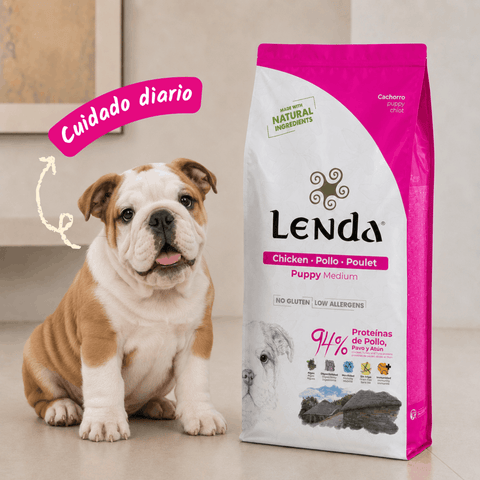 Lenda Puppy Medium