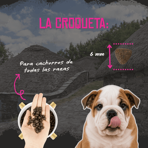 Lenda Puppy Medium