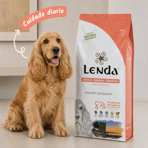 Lenda Salmon
