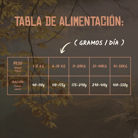 Lenda Nature Senior/Mobility