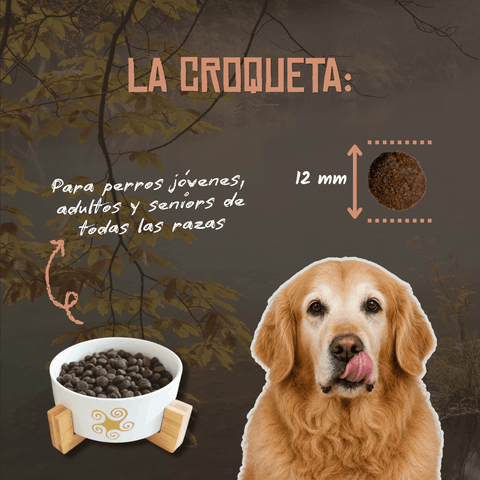 Lenda Nature Senior/Mobility