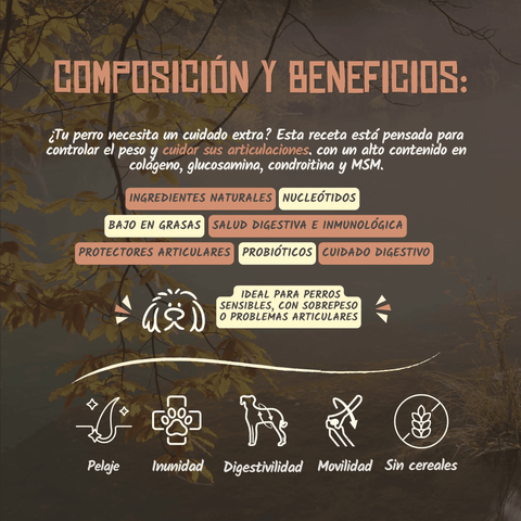 Lenda Nature Senior/Mobility