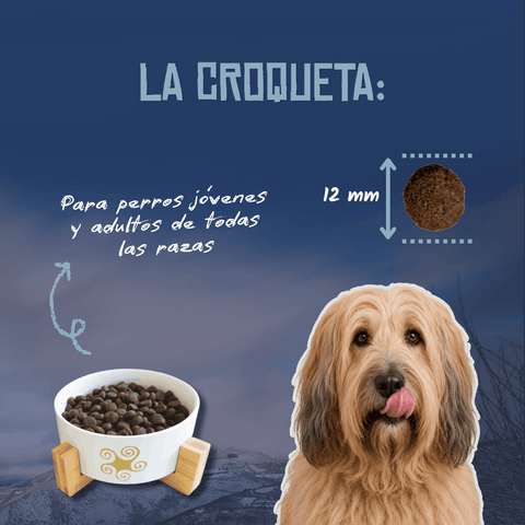 Lenda Nature Sensitive