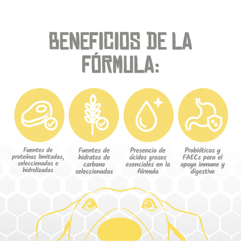 Lenda VET Allergenic Solution