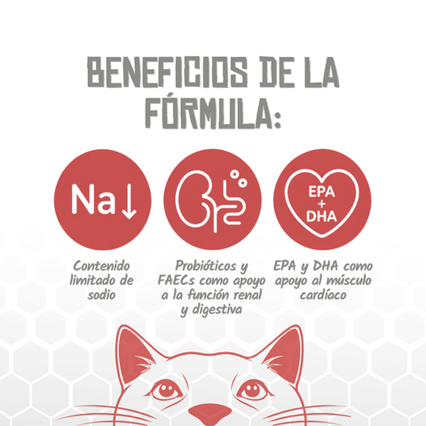 Lenda VET CAT Cardiac