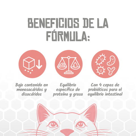 Lenda VET Cat Diabetic