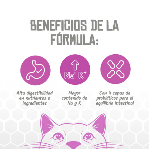 Lenda VET CAT Gastro