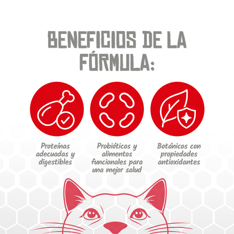 Lenda VET CAT Hepatic