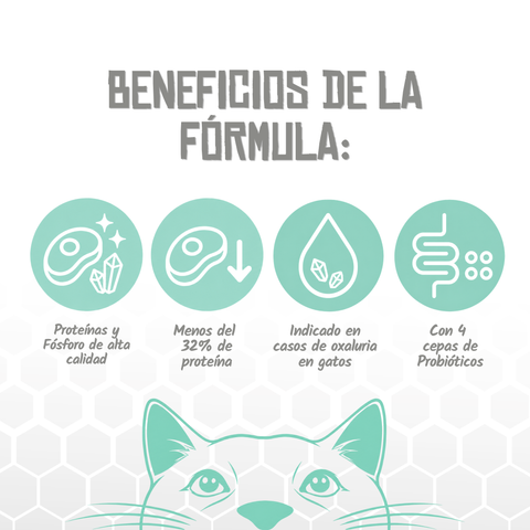 Lenda VET CAT Renal