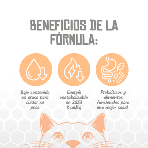 Lenda VET CAT Slimming & Sterilized