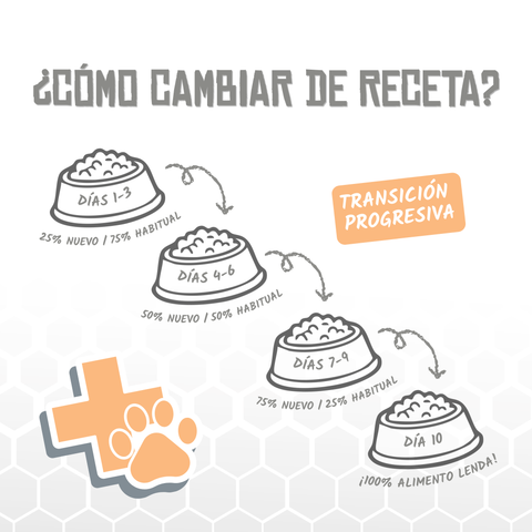 Lenda VET CAT Slimming & Sterilized