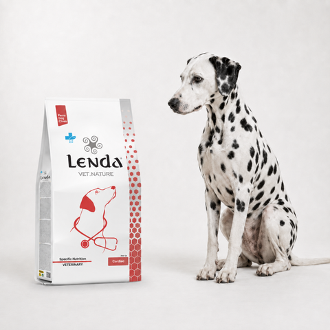 Lenda VET Cardiac