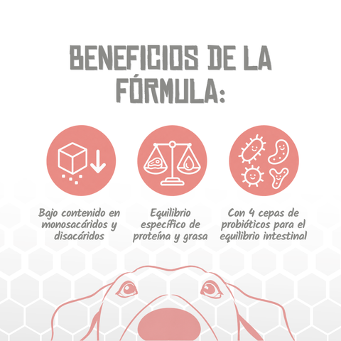 Lenda VET Dog Diabetic
