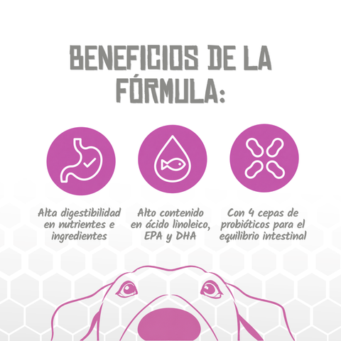 Lenda VET Gastro & Atopic