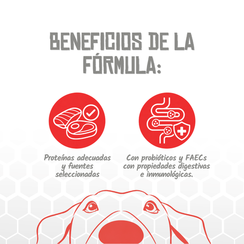 Lenda VET Hepatic