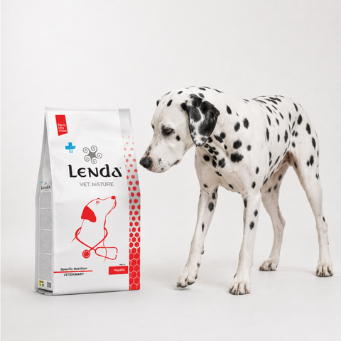 Lenda VET Hepatic
