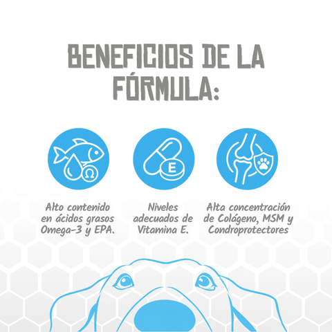 Lenda VET Mobility & Joints