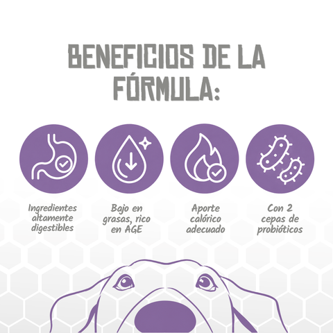 Lenda VET Pancreatic