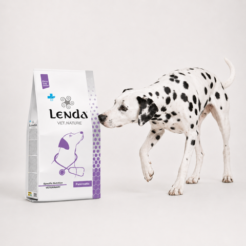Lenda VET Pancreatic