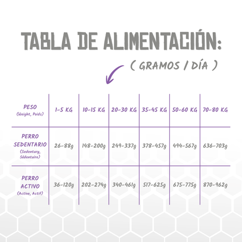 Lenda VET Pancreatic