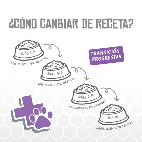 Lenda VET Pancreatic