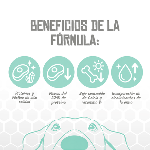 Lenda VET Renal & Oxalate