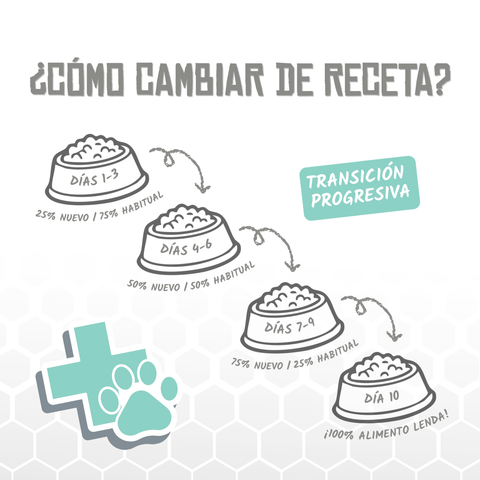 Lenda VET Renal & Oxalate